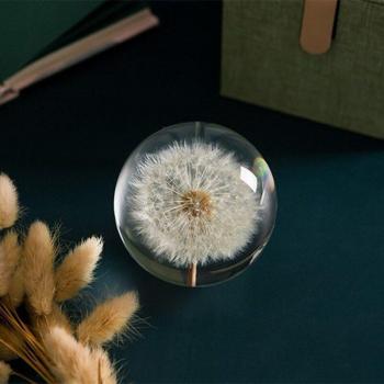 Dandelion Home Decor Crystal Ball