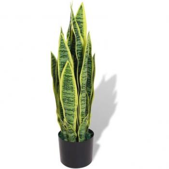 Planta Sansevieria de Lujo 65
