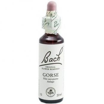 FLORES DE BACH GORSE 20 ML