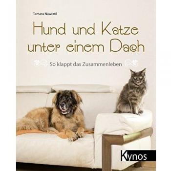 Hund und Katze unter einem Dach: So klappt das Zusammenleben