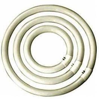 Neon Luminoso Circolare 32W – Luce Bianca