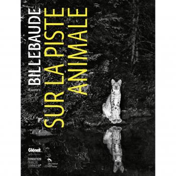 Sur La Piste Animale