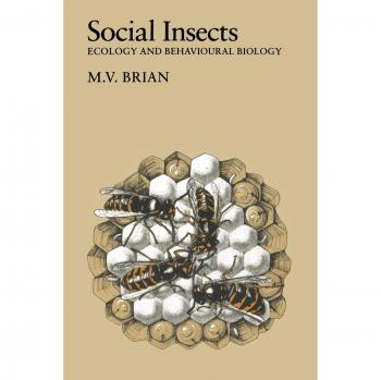 Social Insects: Ecology and Behavioural Biology