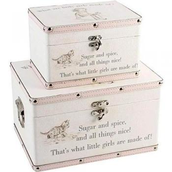 Set of 2 Little Girls Storage Cases