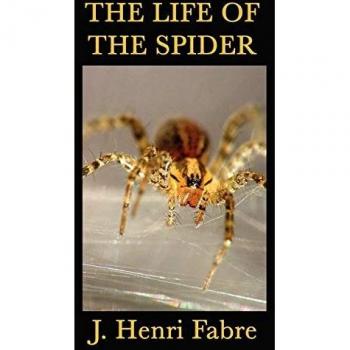The Life of the Spider: Sins of the Heart