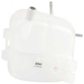 Refrigerante Compensatore Serbatoio BSG 65‑550‑001