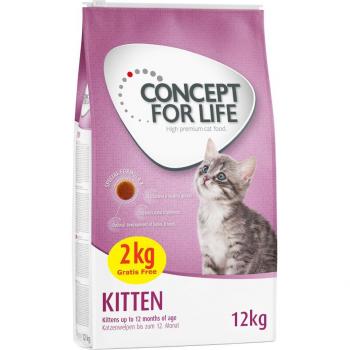 Concept for Life Koťata