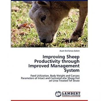 Improving Sheep Productivity through Improved Management System: Feed Utilization, Body Weight and Carcass Parameters of Intact and Castrated afar Sheep Fed on Urea Treated Tef Straw