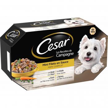 Cesar Campagne à la Sauce – Pack 24 Barquettes 150 g