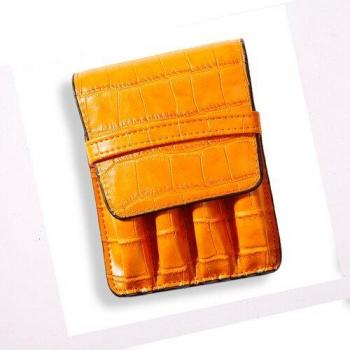 Campus Pro Leather Pen Pouch – Durable 4-Pen Business Case