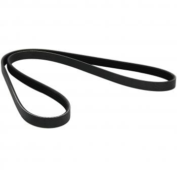 Courroie à nervures trapézoïdales 4PK1185 DAYCO