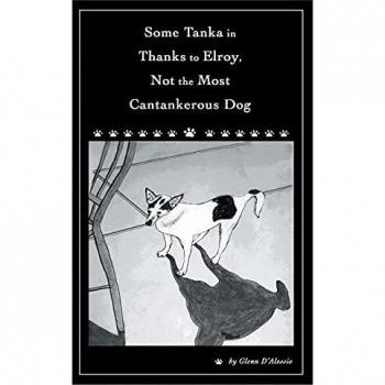 Some Tanka in Thanks to Elroy Not the Most Cantankerous Dog