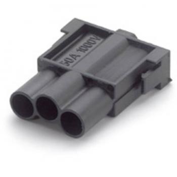LAPP MC Stiftmodul 3-polig für Elektronik