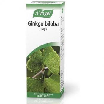 Ginkgo Biloba Oral Drops Herbal Tincture 100ml by A. Vogel