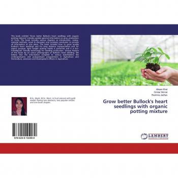 Grow better Bullock's heart seedlings with organic potting mixture