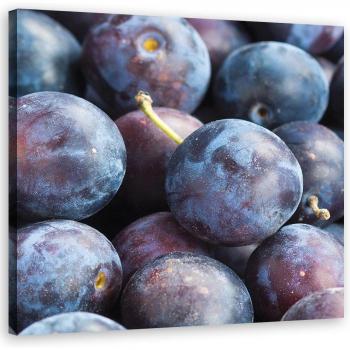 Scultura di Prugna 30x30 Violetto