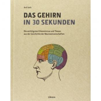 Das Gehirn in 30 Sekunden