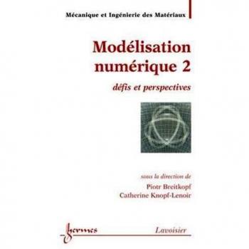 Modelisation numerique 2 defis et perspectives traite mim se