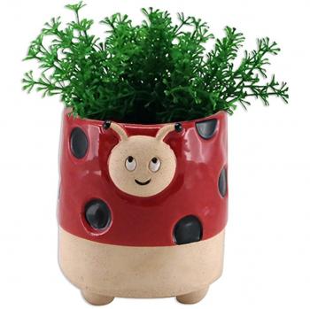Mini Pot Coccinelle
