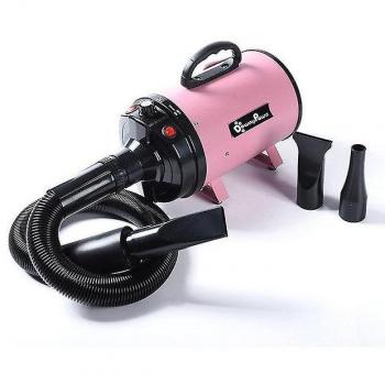 Machine de Séchage Silencieuse pour Chats