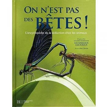 Hachette Jeunesse