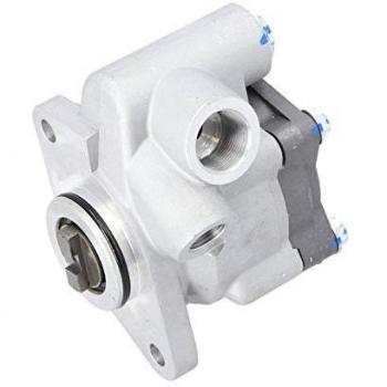 Bomba de direção 4.68712 DT Spare Parts