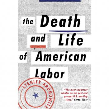 The Death And Life Of American Labor: Toward A New Workers' Movement (Paperback)