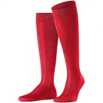 Gambaletti Uomo Falke Tiago Rosso 39/40