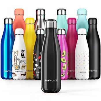 Proworks 500ml Stainless Steel Water Bottle