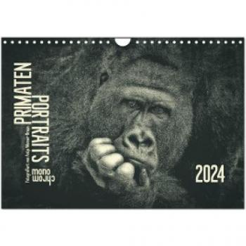 Monatskalender PRIMATEN PORTRAITS