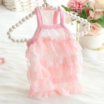 Trajes de Verano para Caniches