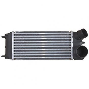 NRF 30356 Enfriador de Aire