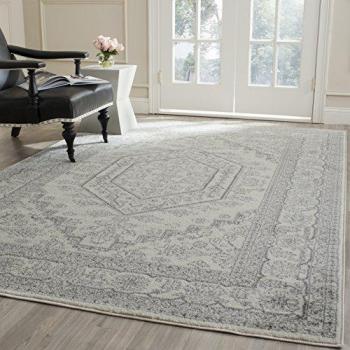 Ivory/Silver 6 ft. x 9 ft. Safavieh Adirondack Rug