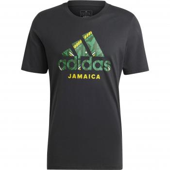 Jamaica Copa America Graphic T-shirt 2024