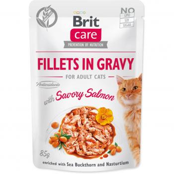 Fillets de Gato Brit Care en Salsa de Pollo y Salmón