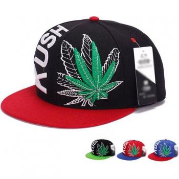 Maple Leaf Sports Snapback Hat