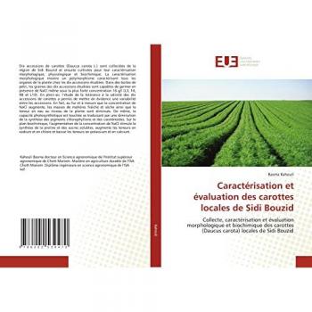 Caractérisation et évaluation des carottes locales de Sidi Bouzid: Collecte, caractérisation et évaluation morphologique et biochimique des carottes (Daucus carota) locales de Sidi Bouzid