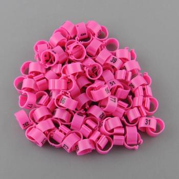 Pigeon Power Leg Clips (100)