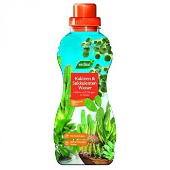 Nutri-Cactus Eau Sucrée