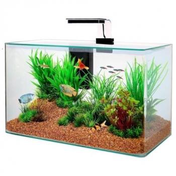 Zolux Aquascape 50 – Kit aquarium en verre noir (32 L) avec filtre cascade 280 L/h