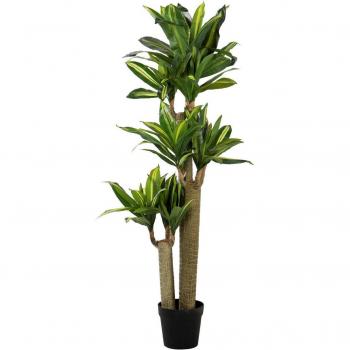 Maceta de Yuca Natural en Clon 63x63x150 cm