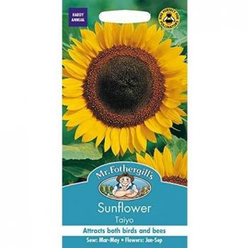 Taiyo Sunflower Seeds