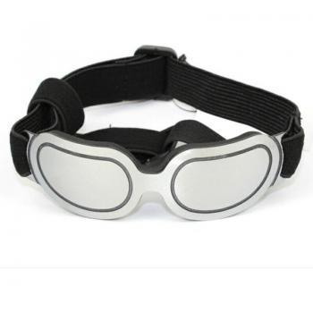 Retro Round Sunglasses for Cats and Small Dogs