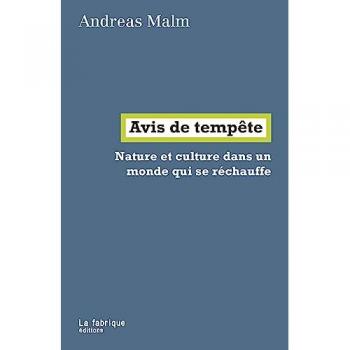 Avis de tempete