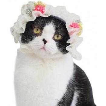 Lightweight Anti-fade Lace Hair Accessories for Pets
