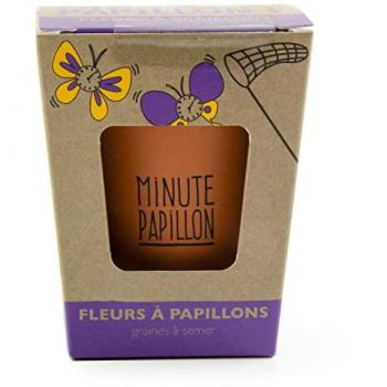 Kit Message Fleurs Mellifères Papillon