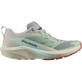 Running Shoes Salomon Donne Sense Ride 5 Blu 40