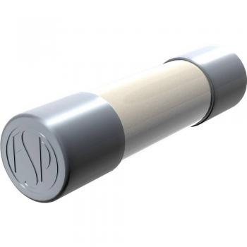 Püschel FST 6,3A Tempéré – 5 mm × 20 mm – 250 V – 10 unites