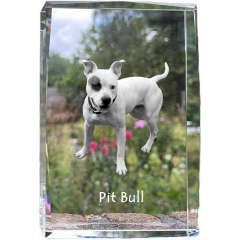 APBT – Crystal Dog Portrait