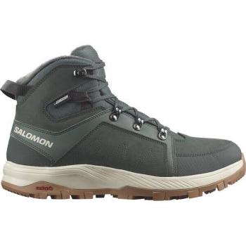 Salomon OUTCHILL TS CSWP Herren Winterschuhe 44 2/3 grün